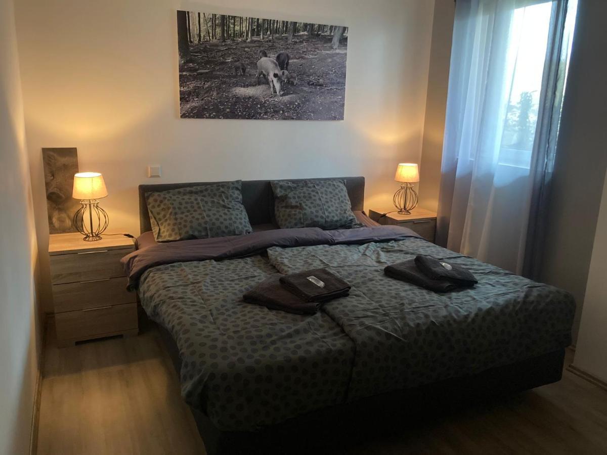 Comfortable 4-Person Apartments Winterberg Medebach Exterior photo